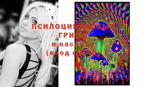 соль курить ск Беломорск