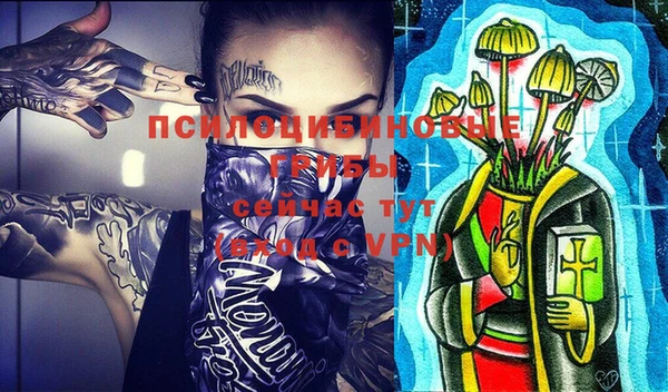 2c-b Белокуриха