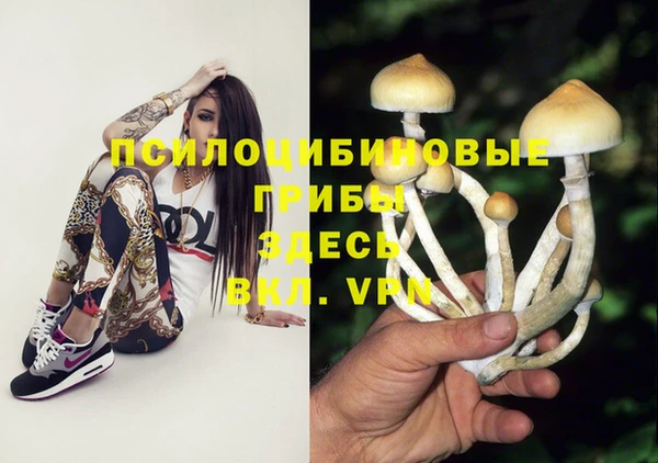 дживик Белоозёрский
